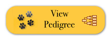 pedigree-button.jpg