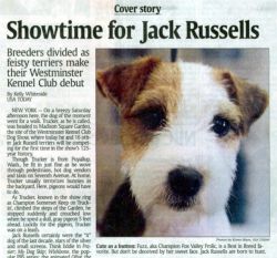 February 2001 USA Today breed write up featuring Fuzz