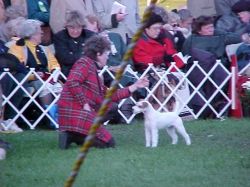 Fuzz in the group ring Montgomery 2000 with Mary Paisley