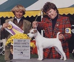 2000 PRTAA Best of Breed at 11. 5 months of age.
